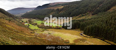 L'Irlande, Co Wicklow, Glenmacnass, ferme à distance dans la vallée, vue panoramique Banque D'Images