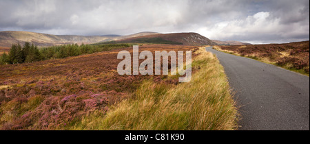 L'Irlande, Co Wicklow, Sally Gap route militaire à côté d'Mullacleevaun, vue panoramique Banque D'Images