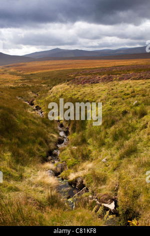 L'Irlande, Co Wicklow, Sally Gap le col de montagne Banque D'Images