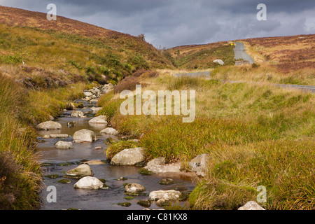 L'Irlande, Co Wicklow, Sally Gap, flux sur le col de montagne Banque D'Images