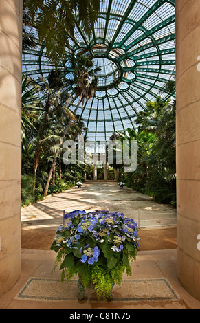 Vue de l'intérieur de 'Jardin d'hiver', les Serres Royales de Laeken, le Château Royal de Laeken, Bruxelles, Belgique, Europe Banque D'Images