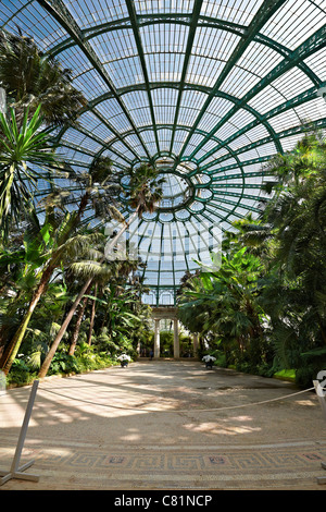 Vue de l'intérieur de 'Jardin d'hiver', les Serres Royales de Laeken, le Château Royal de Laeken, Bruxelles, Belgique, Europe Banque D'Images