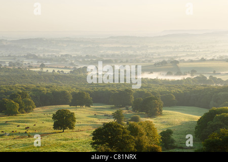 Vue depuis près de Castle Neroche dans les collines de Blackdown. Le Somerset. L'Angleterre. UK. Banque D'Images