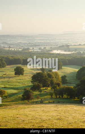 Vue depuis près de Castle Neroche dans les collines de Blackdown. Le Somerset. L'Angleterre. UK. Banque D'Images