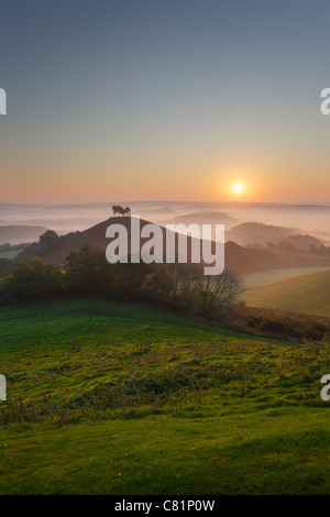 Colmer's Hill et Marshwood Vale au lever du soleil. Le Dorset. L'Angleterre. UK. Banque D'Images