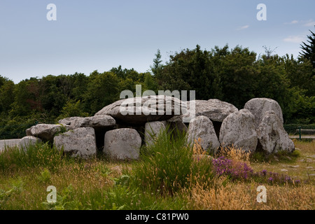 Les pierres de Carnac, un site mégalithique de Bretagne, France Banque D'Images