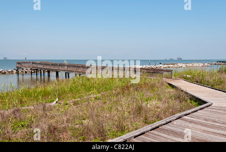 Alabama, Dauphin Island, l'Estuarium au Dauphin Island Sea Lab, salt marsh boardwalk Banque D'Images