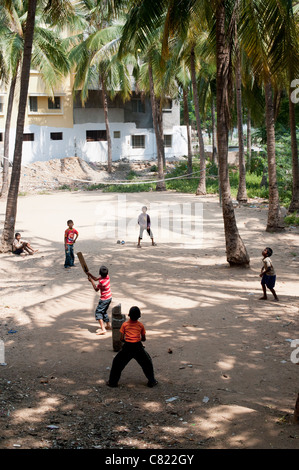 Les garçons à jouer au cricket indien sous les palmiers dans la ville de l'Inde rurale de Puttaparthi, Andhra Pradesh, Inde Banque D'Images