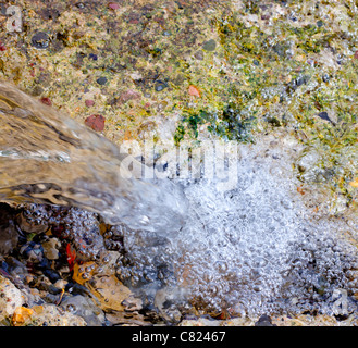 L'eau qui tombe en cascade dans l'eau peu source de printemps Banque D'Images