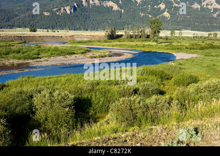 Soda Butte Creek dans la région de Lamar Valley, dans le Parc National de Yellowstone au Wyoming USA Banque D'Images