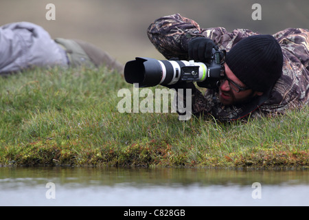 Photographe de la nature à l'aide d'angle faible de prendre des photo d'oiseau. Banque D'Images