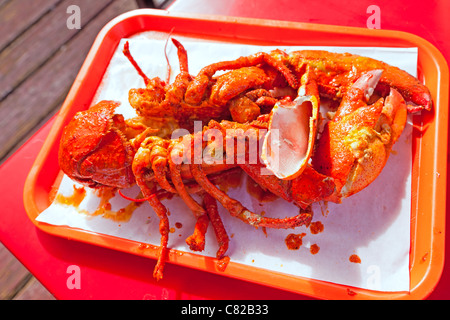 Homard grillé sur grand plat rouge dans Mexican Restaurant Banque D'Images