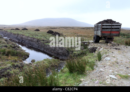 Une tourbière irlandaise Banque D'Images