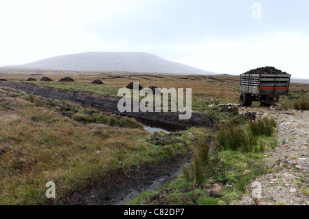 Une tourbière irlandaise Banque D'Images