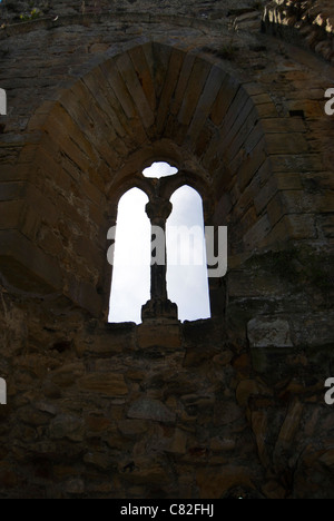 Voir l'abbaye de Rievaulx Yorkshire Banque D'Images