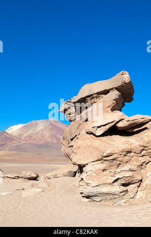 La pierre unique arbre dans le désert de Siloli, Bolivie Banque D'Images