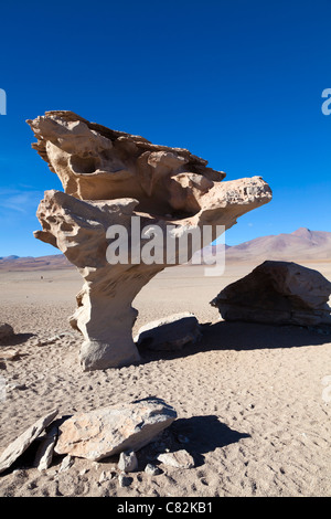 La pierre unique arbre dans le désert de Siloli, Bolivie Banque D'Images