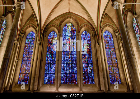 Rose à la cathédrale de Salisbury, Royaume-Uni Banque D'Images