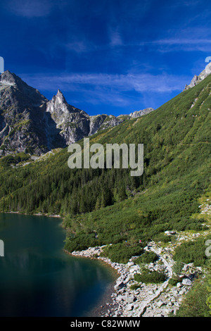 Lac Morskie Oko en Pologne Banque D'Images