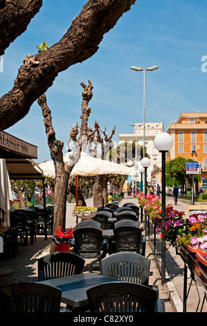 Un café en plein air bordée de fleurs aux couleurs vives dans des paniers et les arbres étêtés pour assurer la croissance de l'année prochaine, Civitavecchia Banque D'Images