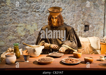 Provins, Grange aux Dimes Banque D'Images