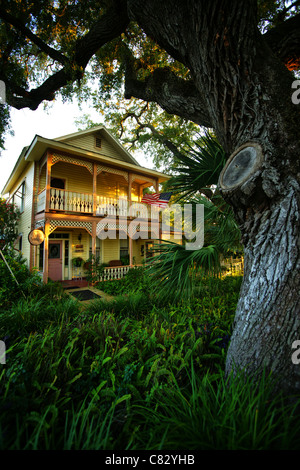 Maison victorienne avec arbre sur cedar key, Florida, USA Banque D'Images