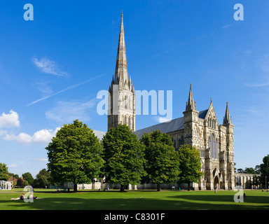 La cathédrale de Salisbury, le fermer, Salisbury, Wiltshire, Angleterre, Royaume-Uni Banque D'Images