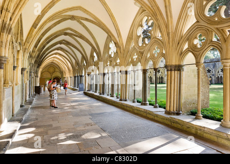 Cloître de la cathédrale de Salisbury, Salisbury, Wiltshire, Angleterre, Royaume-Uni Banque D'Images