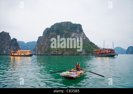 Vietnam, la baie d'Halong en bateau du marché flottant et Banque D'Images