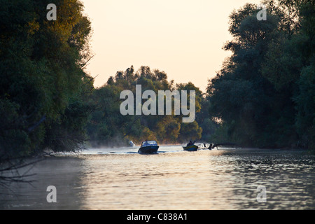 Bateau sur le delta du Danube tôt le matin près de Crisan, Roumanie Banque D'Images