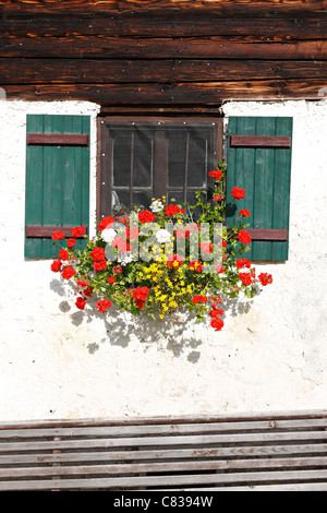 Chalet alpin avec des fleurs, fenêtre Taubensee, Chiemgau Haute-bavière Allemagne Banque D'Images