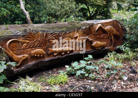 Journal d'art en bois sculpté à ABBOTSBURY jardins subtropicaux. DORSET UK. Banque D'Images
