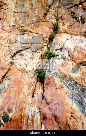 Des stries de granit sur la falaise d'Rndicott Arm, le passage de l'Intérieur, de l'Alaska Banque D'Images