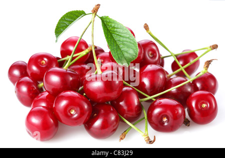 Les cerises. Isolé sur un fond blanc. Banque D'Images