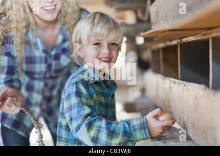 Boy picking les oeufs de poules