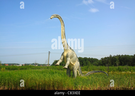 Le Diplodocus en Leba Park (parc à thème dinosaure), Pologne Banque D'Images