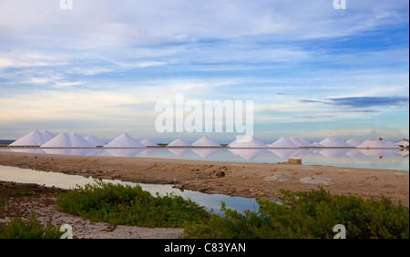 Se reflétant dans les montagnes de sel salt lake à Bonaire Banque D'Images