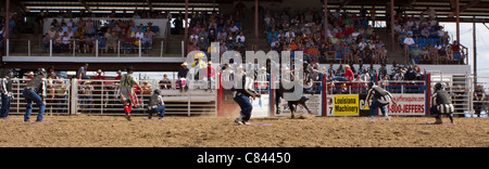 Au flipper Angola State Prison Rodeo dans le pénitencier de l'état de la Louisiane Banque D'Images