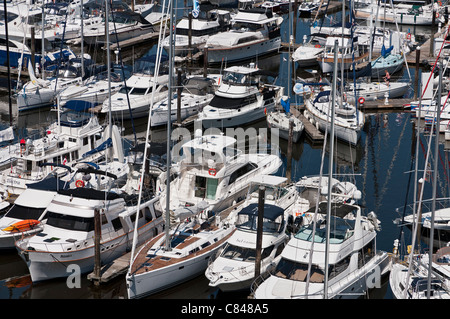 Portrait de plusieurs bateaux de plaisance de luxe à une marina animée à Granville Island sur False Creek de Vancouver. Banque D'Images