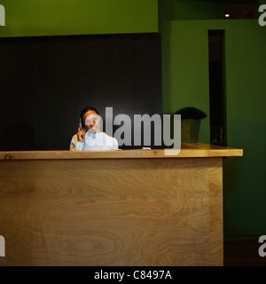Femme travaillant à la réception desk in office Banque D'Images