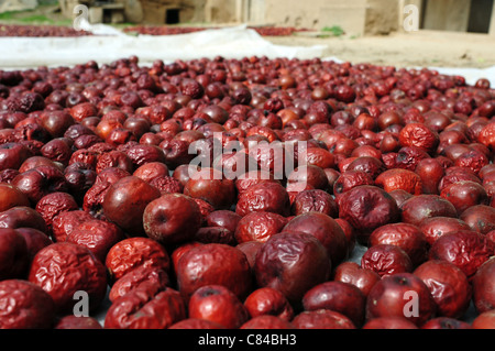 Fruits chinois date Banque D'Images