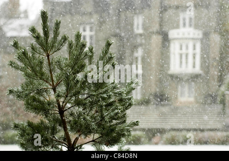 Abbaye de singleton sur campus de l'université de Swansea dans la neige. Banque D'Images