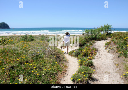 Papamoa beach près de Mount Maunganui Tauranga et dans la baie de Plenty, Nouvelle-Zélande, scène de la récente marée noire. Banque D'Images