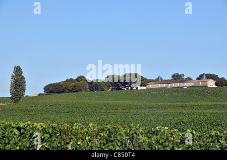 Vineyard Chateau Saint Georges Montagne Saint Emilion Gironde Aquitaine France Banque D'Images