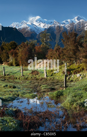 Vue sur le Mont Cook (Aoraki) et Mt Tasman vus de près de Lake Matheson en Nouvelle Zélande Banque D'Images