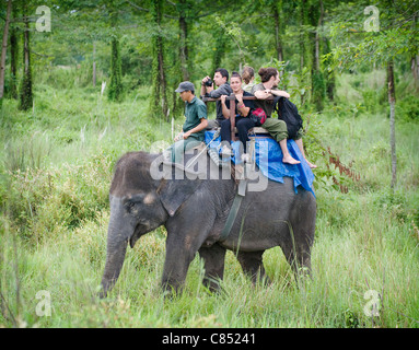 Elephant safari dans le parc national de Chitwan, Népal, Asie Banque D'Images