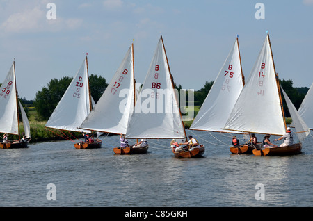 Classe norfolk course de canots sur la rivière waveney à beccles uk suffolk Banque D'Images