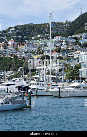 Dans les bateaux de plaisance Chaffers avec les immeubles de bureaux et logements à flanc de Mont Victoria de Wellington North Island Nouvelle Zélande Banque D'Images