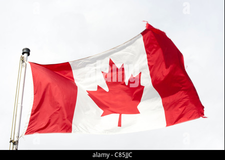 Battant pavillon canadien Banque D'Images