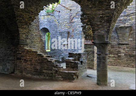 Chambre voûtée médiévale avec toit voûté dans les ruines de l'abbaye de Villers, une ancienne abbaye cistercienne près de Villers-la-Ville, Belgique Banque D'Images